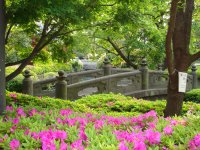 DSC01005.JPG
